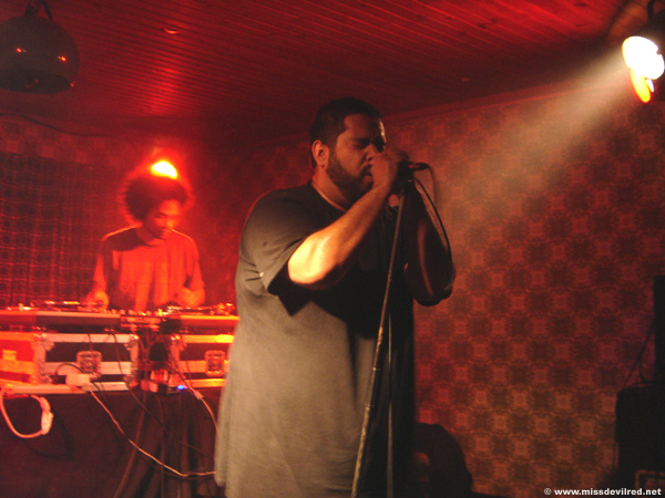 DSC02534.jpg