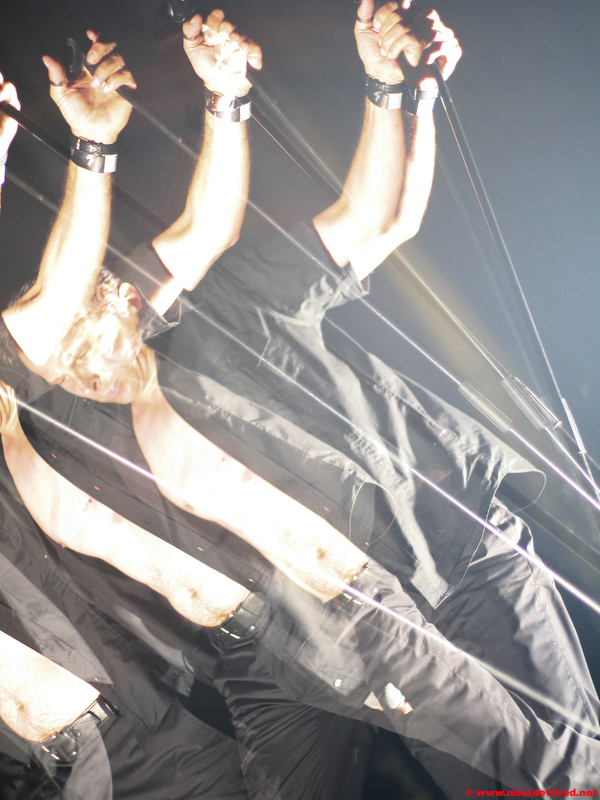 DIVE-01.jpg