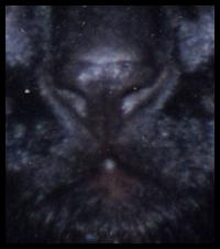 simba.jpg