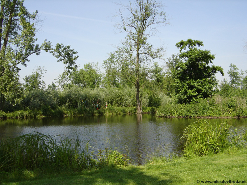 DSC02458.jpg