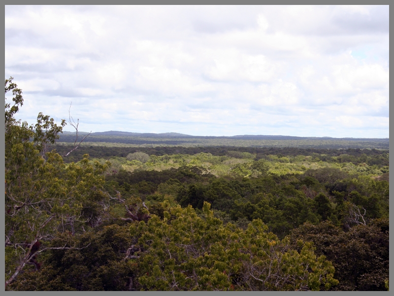 Calakmul_173.jpg