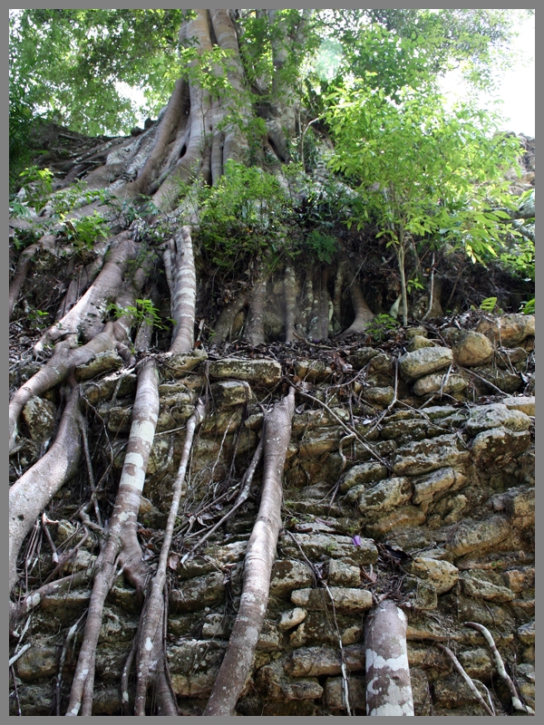 Kohunlich_056.jpg