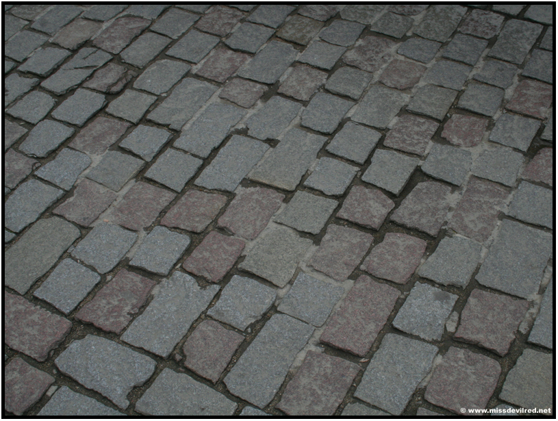 23_Prague_Pont_st_Charles.jpg