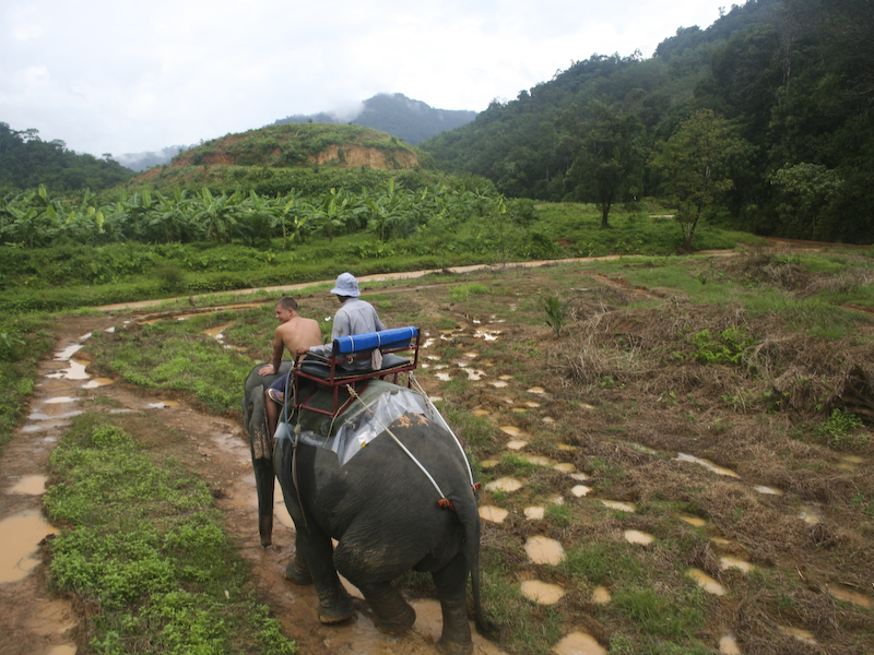 IMG_55_khao_sok_trekking.jpg