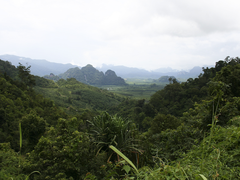 IMG_58_khao_sok_trekking.jpg