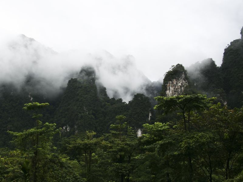 IMG_67_khao_sok.jpg